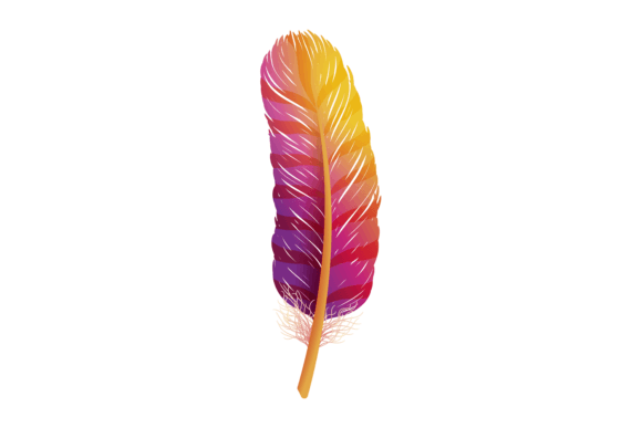 Download Bright Rainbow Feather from Exotic Bird - Bright rainbow Collection